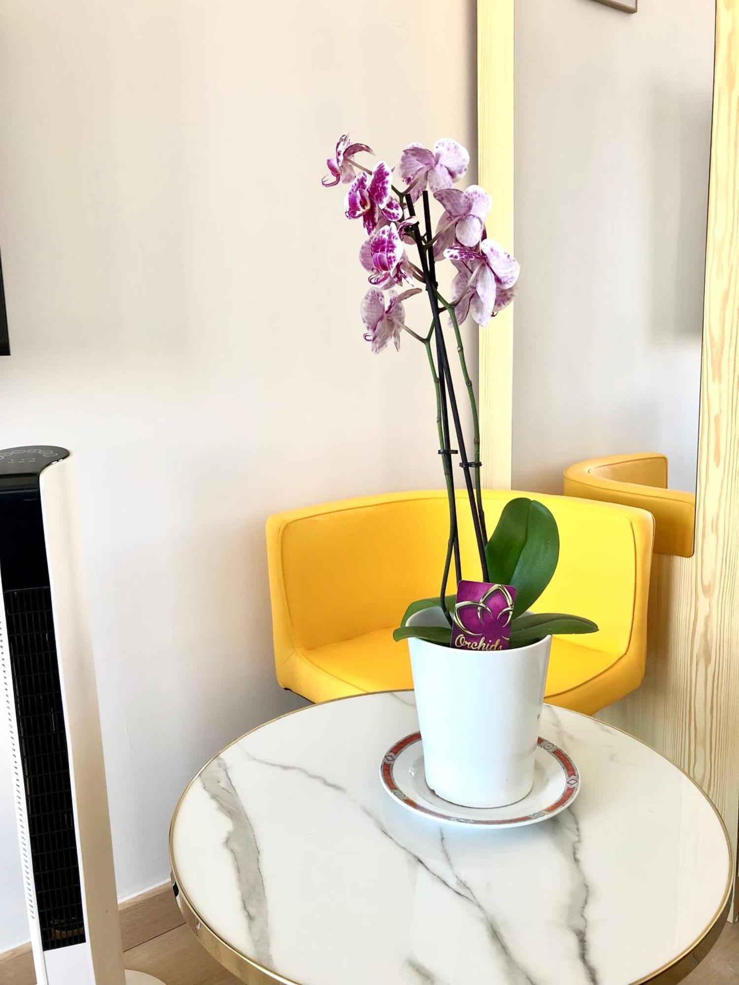 Accommodatie bij particulieren Lucas Salle De Bain Privative Parijs